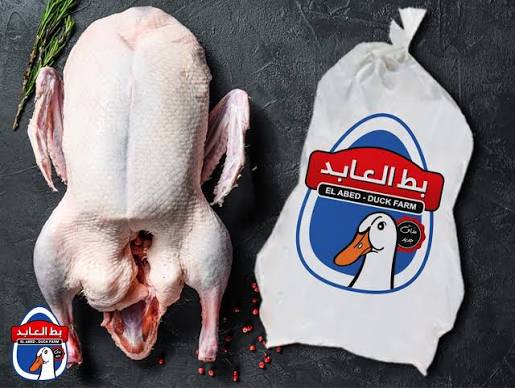 بط العابد بالكيلو
